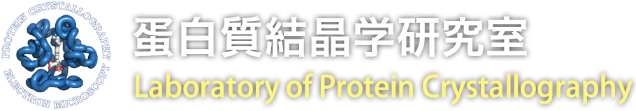 蛋白質結晶学研究室 Laboratory of Protein Crystallography