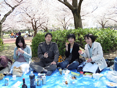 お花見