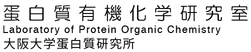 蛋白質有機化学研究室