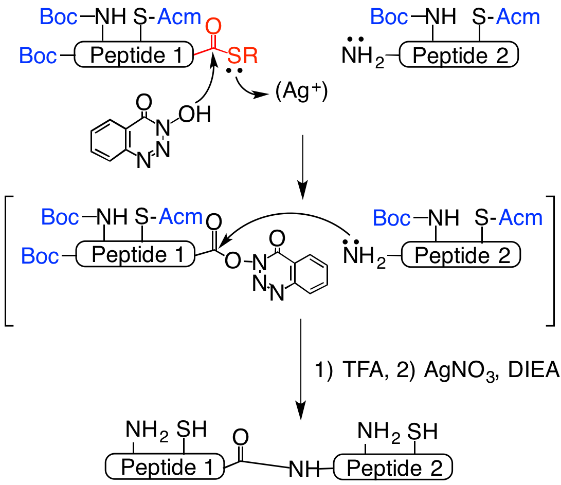 （図１）　H. Hojo and S. Aimoto, Bull. Chem. Soc. Jpn., 64, 111-117 (1991).
