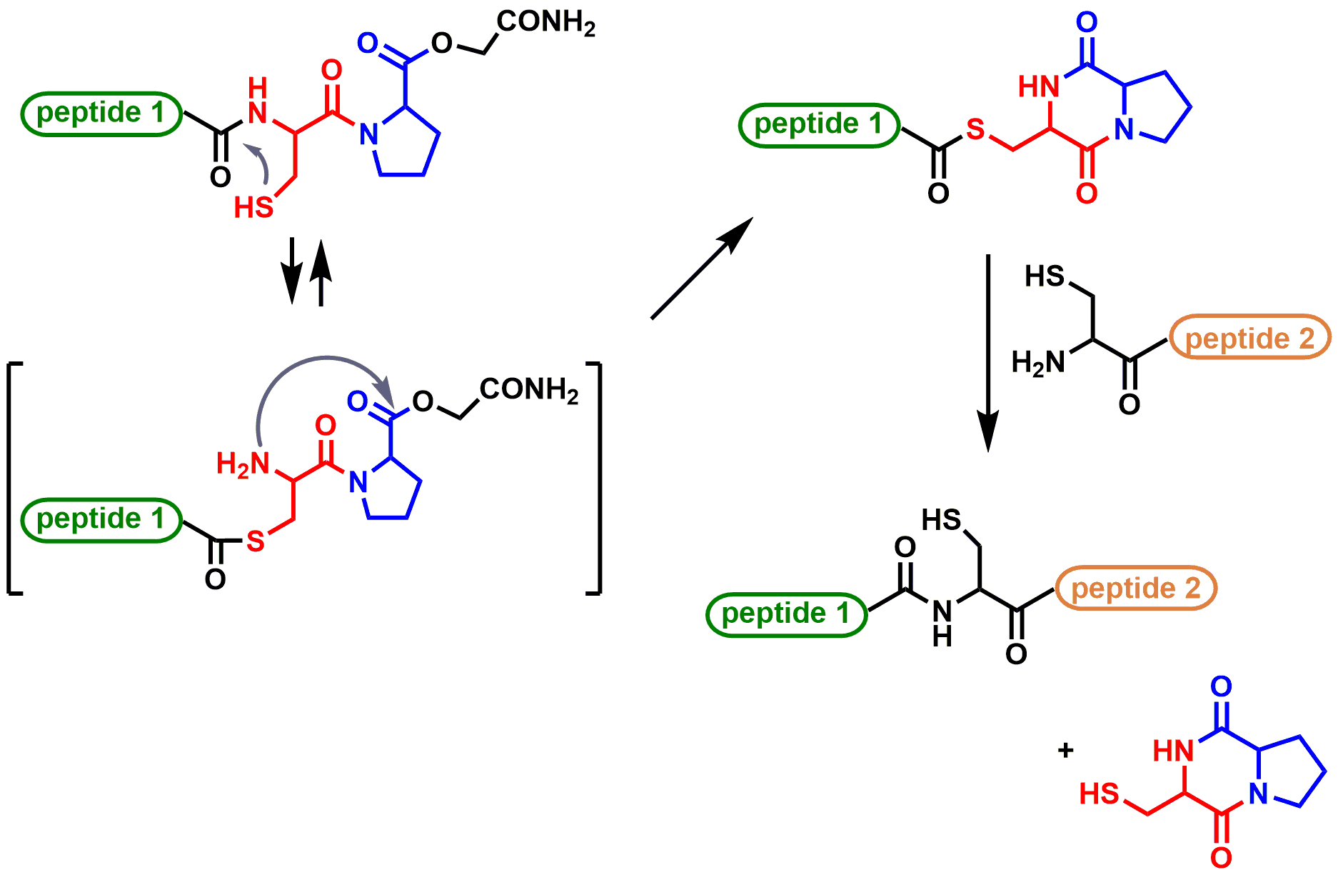 （図２）