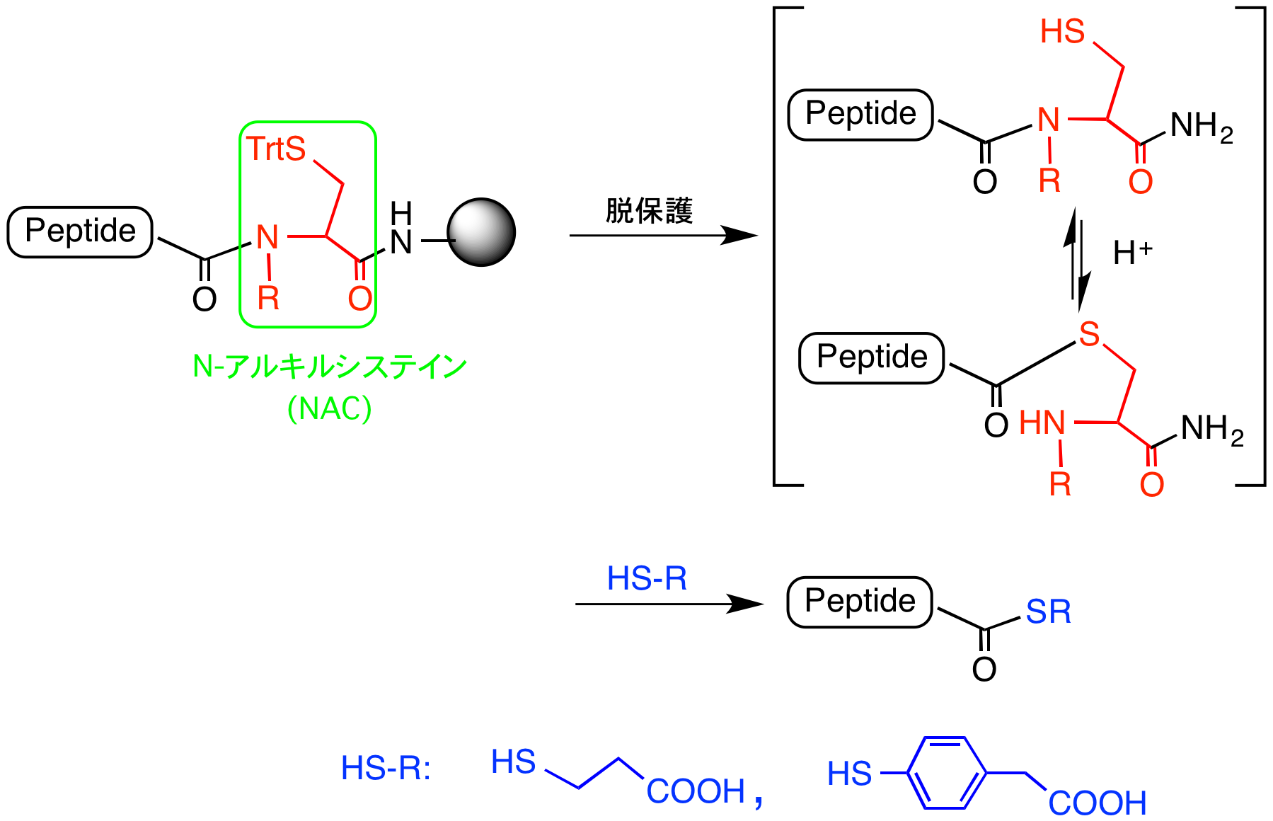 （図３）