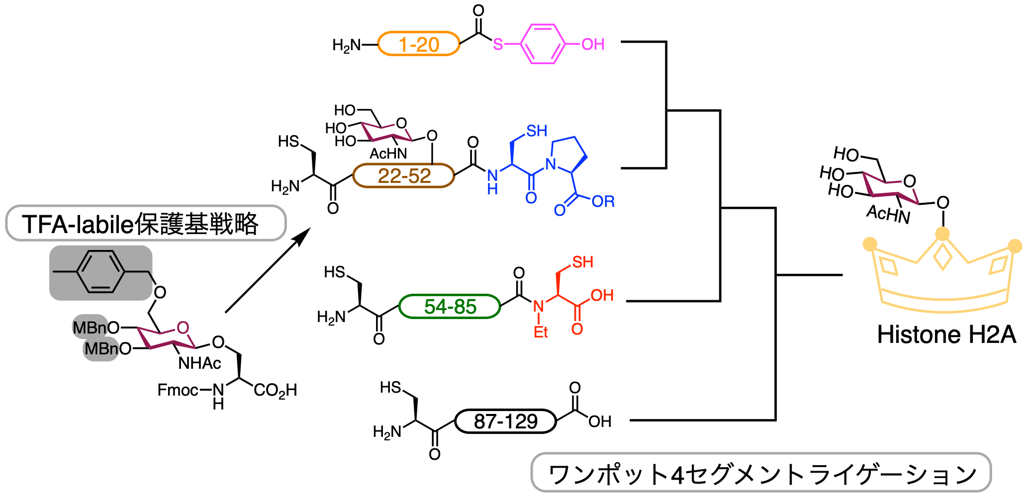 H2A