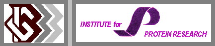 Logo.jpg (15161 bytes)