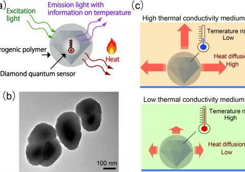 Nanodiamonds feel the heat