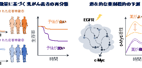 イン・シリコ患者固有モデルでがんの予後と薬剤応答を予測 －細胞シミュレーションによる疾患分類法の開発－