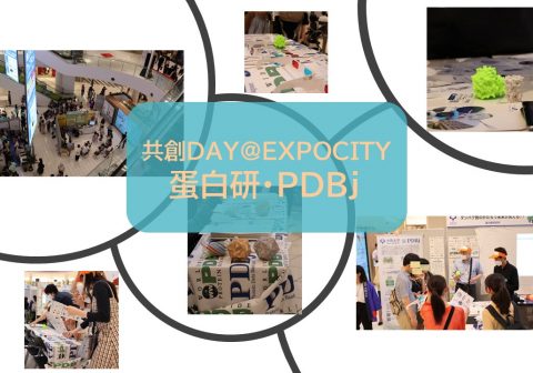 【開催報告】大阪大学共創DAY＠EXPOCITY2023『未来社会を創造中！』蛋白研出展