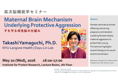 【5/20開催】高次脳機能学セミナー「Maternal Brain MechanismUnderlying Protective Aggression － 子を守る母性脳の仕組み －」