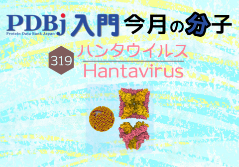 PDBjよりタンパク質の構造解説記事「今月の分子」（Molecule of the Month）の新たな記事が公開されました。