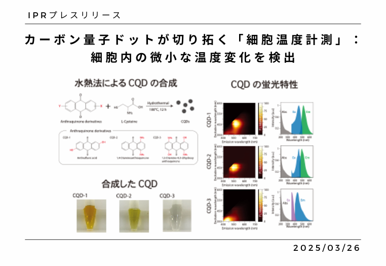 カーボン量子ドットが切り拓く「細胞温度計測」：細胞内の微小な温度